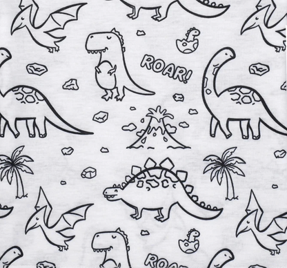 Roarsome Dino Adventure Pajamas